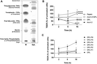 Peanut lipids influence the response of bronchial epithelial cells to the peanut allergens Ara h 1 and Ara h 2 by decreasing barrier permeability